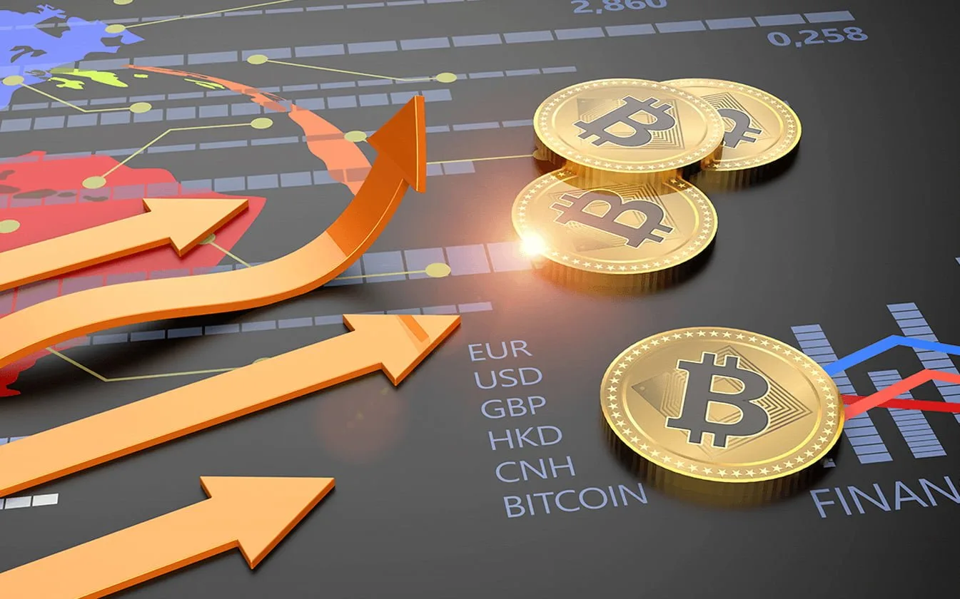 Dijital para piyasasında finansal risk türleri ve yatırım riski yönetimi eğitimi
