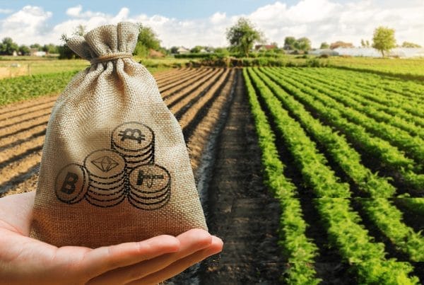 Yield farming or profit cultivation 5 ییلد فارمینگ Yield farming یا کشت سود